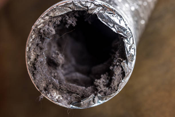 Best Air Duct Cleaning Company Near Me  in Swedesboro, NJ